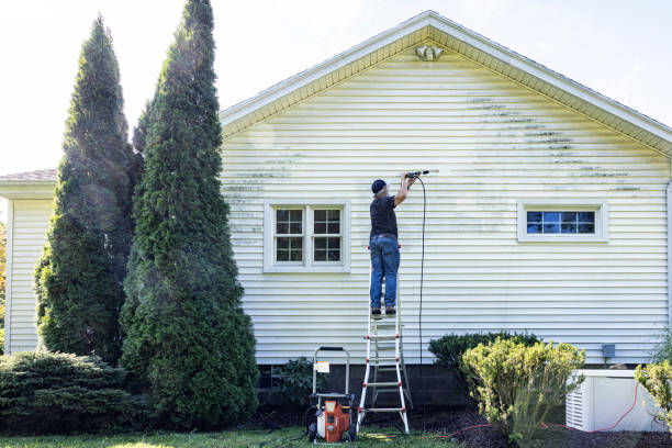 Best Spring Cleaning  in Muse, PA